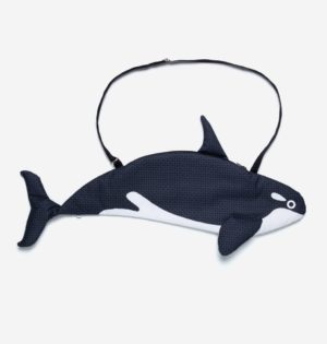 cala don fisher