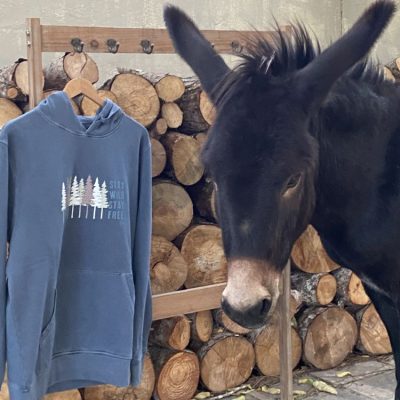 Sudadera 8 Pinos Azul Noche